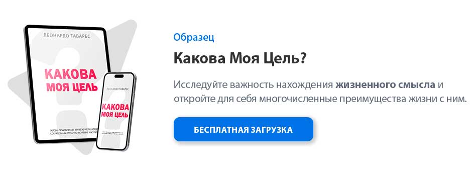 Какова Моя Цель?